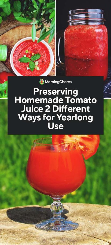 Canning Tomato Juice, Homemade Tomato Juice, Tomato Juice Recipes, Diy Homesteading, Morning Chores, Freezing Tomatoes, Tomato Harvest, Freezing Vegetables, Pressure Canning Recipes