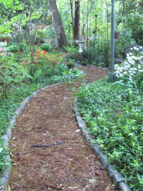 if I ever have enough space in my yard, I would definitely make trails. Backyard Walking Trail, Making Trails In The Woods, Backyard Trails Pathways, Mulch Pathway, Woodland Path, Lots Of Plants, Prayer Garden, Woodland Walk, Path Ideas