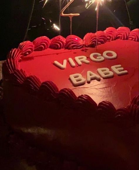 Virgo Cake Ideas, Virgo Birthday Cake, 22nd Birthday Cakes, Virgo Birthday, Cake Aesthetic, Funny Birthday Cakes, Bday Party Theme, 18th Birthday Cake, Mini Cakes Birthday