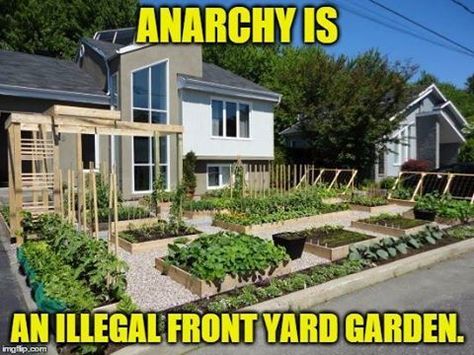 Agricultural Anarchy, Eco Punk, Solar Punk, Guerrilla Gardening, Yard Kitchen, Front Lawn, Backyard Farming, Front Yard Garden, Edible Garden