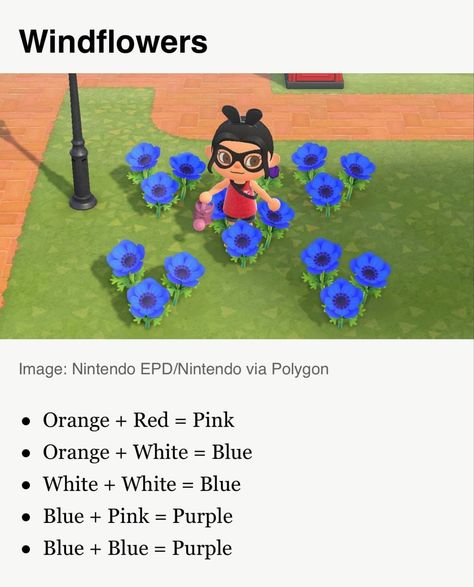 Animal Crossing New Horizons flower hybrid guide. Windflowers Nintendo Switch Animal Crossing, Animal Crossing Memes, Animal Crossing Guide, Animal Crossing Qr Codes Clothes, Animal Crossing Pocket Camp, New Animal Crossing, Animal Crossing Game, Animal Crossing Qr, Animal Games