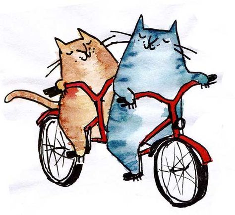 Cards Painting, Cycle Art, Bicycle Illustration, Motorcycle Illustration, Bike Illustration, Kitty Art, Fox Illustration, Cat Artwork, Cycling Art