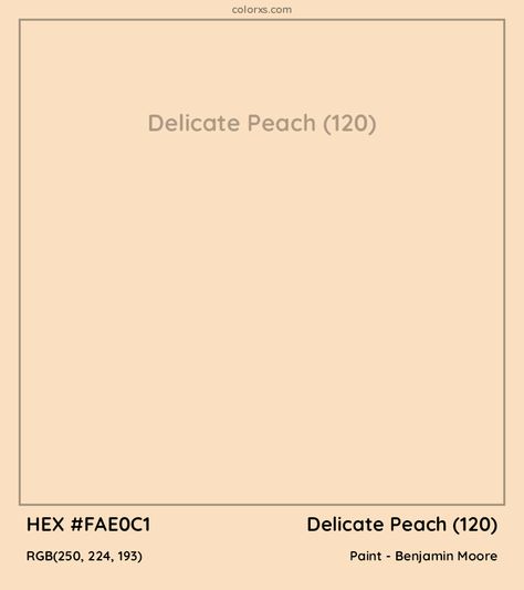 Benjamin Moore Delicate Peach (120) Paint color codes, similar paints and palettes Light Peach Wall Color, Peach Wall Paint, Peach Paint Colors, Painted Hallway, Munsell Color System, White Wall Paint, Peach Paint, Paint Color Codes, Peach Walls