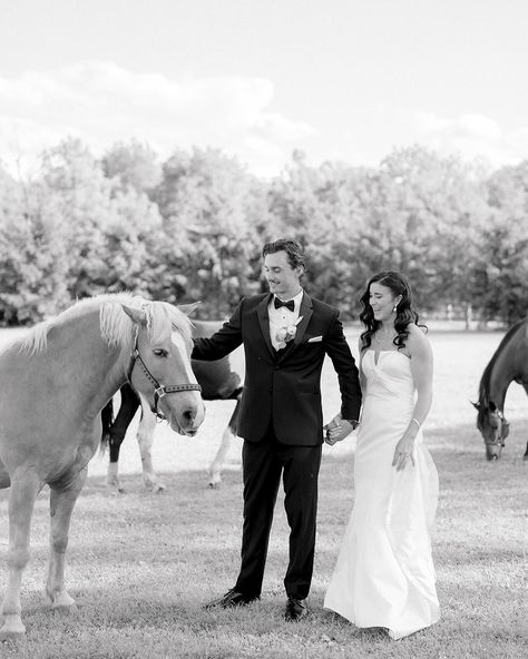 I’m thrilled to share just how amazing Kait and Jim’s wedding was! The day overflowed with love and unforgettable moments. Every time I have the privilege of capturing these special moments, it truly brings me so much joy. It’s what makes my passion for photography truly come alive, and I’m so grateful for the chance to freeze these beautiful memories in time. My clients are truly the best! ❤️ #njweddingphotographer #capemayweddingphotographer #njengagementphotographer #capemayphotographer ... Castle Rock, Fine Art Wedding Photographer, Ranch Wedding, Colorado Wedding, So Grateful, My Passion, Portrait Photography, Colorado, Wedding Photographers