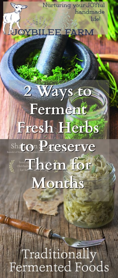 Fermented Veggies, Organic Recipes Healthy, Fermentation Recipes, Fermented Vegetables, Healthy Herbs, Probiotic Foods, Organic Foods, Perennial Herbs, Pickling Recipes