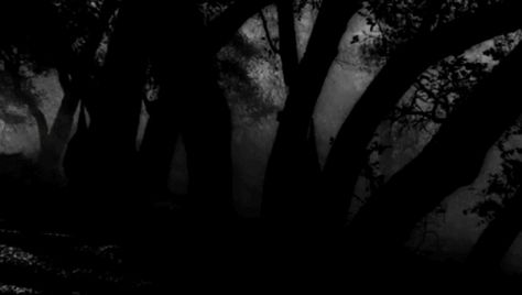 Related image Discord Banner Gif, Real Life Horror Stories, Old Halloween Costumes, Halloween History, Celtic Festival, Dark Angels, Discord Banner, Banner Gif, Dark Gothic