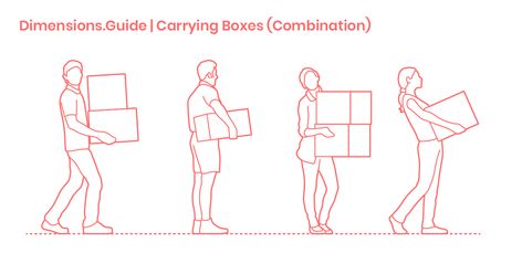 People Carrying Boxes - Combination Dimensions & Drawings | Dimensions.com Carrying Something Pose Reference, Carrying A Box Reference, Carrying Box Pose Reference, Carrying Books Pose Reference, Carrying Pose Reference, Sketch People, Box Drawing, Carrying Boxes, Landscape Design Drawings