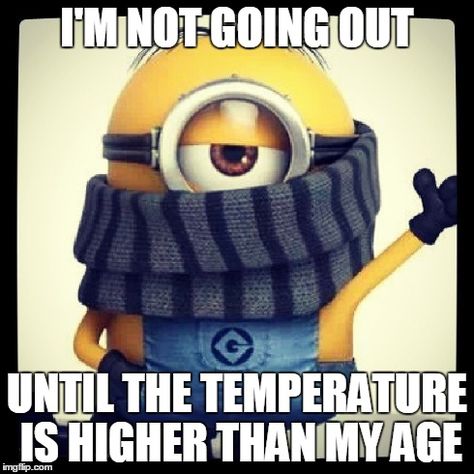 Cold Memes, Funny Cold Weather Quotes, Cold Meme, Cold Humor, Funny Winter Quotes, Cold Weather Memes, Cold Weather Funny, Cold Weather Quotes, Cold Quotes