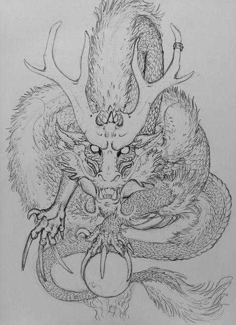 Chinese Dragon sketch, Paulina Kubiczak on ArtStation at https://www.artstation.com/artwork/Xn1mqR Chinese Dragon Drawing Reference, Dragon Drawing Chinese, Chinese Dragon Reference, Chinese Dragon Sketch, China Dragon Drawing, Chinese Dragon Drawing Sketches, Dragon Tattoo Face, Chinese Sketch, Chinese Dragon Face