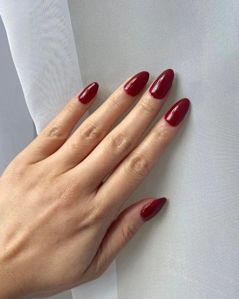 You can never have enough different shades of red gels, and the Chilli Palette is the perfect addition to your gel polish collection 😍💯❤️ 4 gorgeous shades of red from lighter to darker, and suits everyone for any occasion 😘 #ambedo #nails #nailpolish #manicure #nailideas #nailtrends #gelnailart #gelnails #nailart #nailartinspo #nailinspiration #solidnailgels #nails2inspire #beauty #naturalnails #nudenails #naildesign #naillife #nailsoftheday #palette #beautyhack #nailartdesigns #nailartide... Different Shades Of Red, Nails Nailpolish, Gel Nail Art, Gel Color, Gorgeous Nails, Nude Nails, Shades Of Red, Nail Trends, Natural Nails