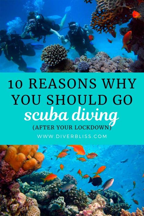 Being in lockdown has probably made you think about your life.  If scuba diving has been on your bucket list, go do it already! That is, after your lockdown and when it is deemed safe in your location. For many people, including myself, scuba diving has changed their lives for the better and it can do the same for you. Take up diving. If you are unsure if you should, here are 10 reasons why you should. #scubadiving #diving #diver #learnscuba #bucketlist #bucketlistideas #postlockdown Thailand Activities, Scuba Diving Courses, Rescue Diver, Diving Course, Best Scuba Diving, Midlife Women, Scuba Dive, Diving Center, Adventure Bucket List