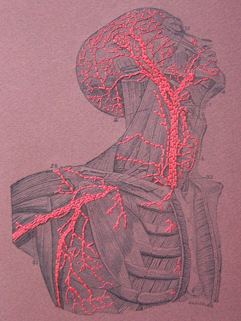 Illustration Kunst, Textil Design, Medical Art, Junji Ito, Red Thread, Paper Embroidery, A Level Art, Art And Illustration, Arte Horror