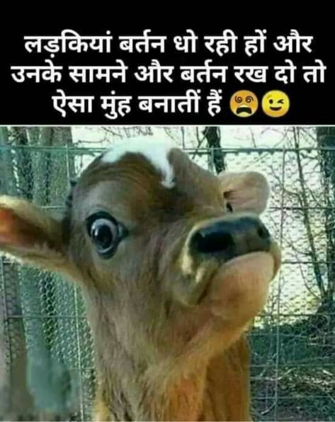 Hindi Funny Quotes, Hindi Jokes Funny, Funny Chutkule, Very Funny Images, Funny Status Quotes, Funny Images With Quotes, Funny Quotes In Hindi, Jokes Images, Funny Jokes In Hindi