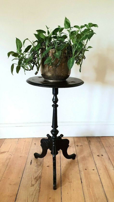 Antique Wooden Plant Stand / Side Table Victorian Plant Stand, Antique Side Tables, Plant Stand Table, Gardening For Dummies, Wooden Plant Stand, Vintage Side Tables, Brass Plates, Antique Side Table, Pallet Bar