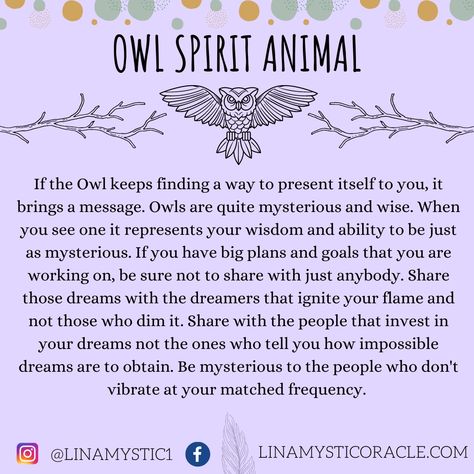 Seeing Owl Spiritual Meaning, Spiritual Meaning Of Owls, Owl Omen Meaning, Owl Spiritual Meaning, Owl Spirit Animal Meaning, Snake Totem, Owl Symbolism, Owl Facts, Spirit Animal Meaning