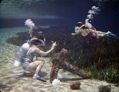 Florida Memory • Women scuba diving in Florida. Women Scuba Diving, Scuba Diving Tank, Vintage Scuba, Diving Tank, Scuba Tank, Scuba Gear, Scuba Girl, Diving Equipment, Scuba Diver