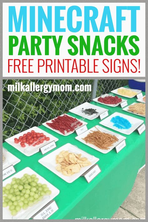 Minecraft Party Snacks & Table Signs Minecraft Veggie Tray, Minecraft Snacks Birthday, Minecraft Food Ideas, Minecraft Pool Party, Minecraft Party Snacks, Party Food Ideas For Kids, Minecraft Pool, Dairy Free Recipes For Kids, Minecraft Party Food