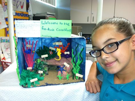 Coral Reef Biome Diorama Coral Reef Biome Shoebox Project, Great Barrier Reef Diorama, Coral Reef Diorama, Coral Reef Biome, Ecosystems Diorama, Ocean Diorama, Ecology Projects, Biomes Project, Ecosystems Projects