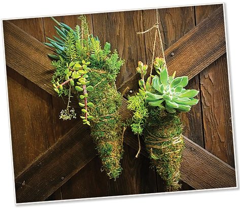 String Garden, Old Garden, Moss Balls, Macrame Hanger, Planting, Succulent, Herbs, Nursery, Japan