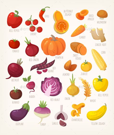 Yellow and Red Vegetables #Yellow, #Red, #Vegetables Realistic Cartoon Style, Vegetables List, Yellow Vegetables, Red Vegetables, Yellow Fruit, Food Names, Red And Purple, Colorful Fruit, Red Food