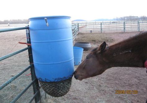 Building Hay Slow Feeder | These are my favorite! I love how people just put stuff together and ... Barrel Hay Feeder, Slow Hay Feeder For Horses, Horse Feeder Diy, Horse Slow Feeder, Hay Feeder For Horses, Horse Feeder, Western Horseman, Horse Nutrition, Horse Farm Ideas