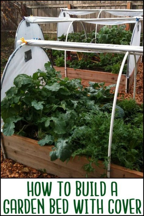 Garden Bed With Cover, Diy Raised Garden Bed, Building Raised Garden Beds, Vegetable Garden Raised Beds, Building A Raised Garden, Diy Raised Garden, Raised Garden Beds Diy, Garden Types, Veg Garden