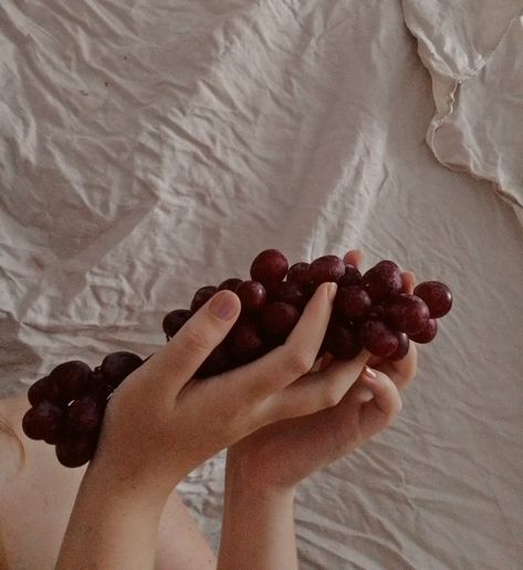 Hand Holding Grapes, Ariadne Aesthetic, Grapes Aesthetic Wallpaper, Hedonism Aesthetic, Grape Aesthetic, Grapes Aesthetic, Red Grapes Aesthetic, Grape Astetic, Black Grapes Aesthetic