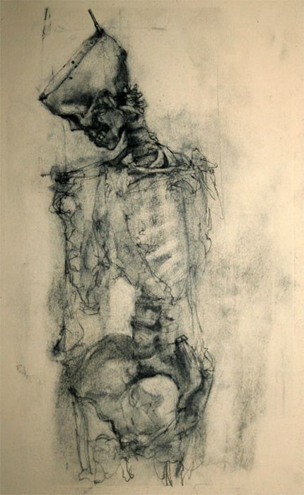 Skeleton. Art Macabre, David Smith, Charcoal Drawings, Skeleton Art, A Skeleton, Junji Ito, Art Et Illustration, Art And Illustration, Anatomy Art