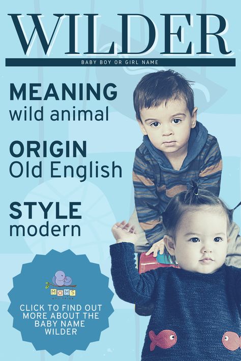 Wilder is quickly becoming one of the most popular options for boys. It is important to note that in rare cases, girls may use this option. What only became a top 1,000 option in 2015 is already a top 500 name. #girlname #boyname #babyname Wilder Name, W Baby Names, Middle Name Ideas, Baby Name Meaning, Boy Girl Names, Unisex Name, Getting Ready For Baby, Unique Name, Baby Names And Meanings