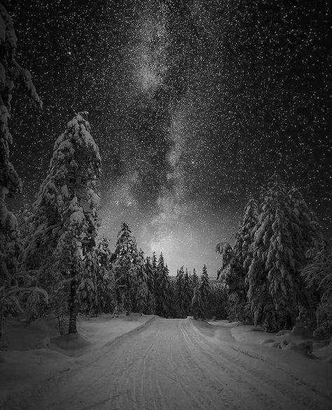 Black And White Snow Photography, Black And White Snow Aesthetic, Black Winter Aesthetic, Snow Dark Aesthetic, Snow Aesthetic Dark, Snow Storm Aesthetic, Dark Snow Aesthetic, Winter Widgets, Snow At Night