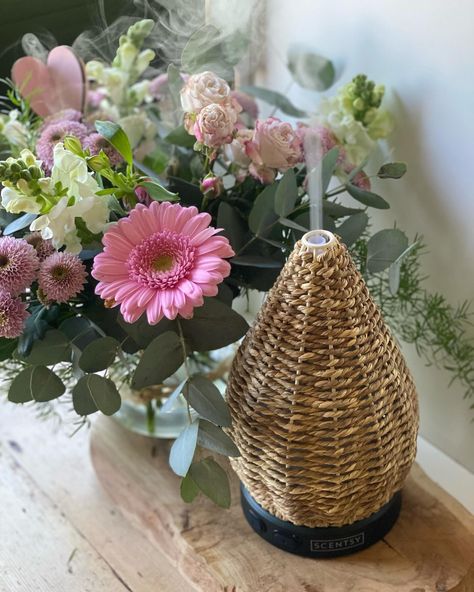 . Two things I love; my diffuser and fresh flowers 🌸 #smellgoodfeelgood #diffuser #freshflowers #pink #zendecor #goodvibes #scentsysnapshot #homesweethome #instahome Scentsy Oil Diffuser, Scentsy Essential Oils, Scentsy Diffuser, Scentsy Oils, Scent Warmers, Scentsy Consultant Ideas, Scentsy Wax Bars, Warm Fragrance, Zen Decor