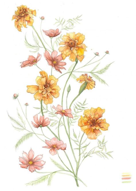 Peranakan Batik, Marigold And Cosmos, February Flowers, Marigold Tattoo, October Flowers, Birth Flower Tattoos, Marigold Flower, Month Flowers, Flower Tattoo Designs