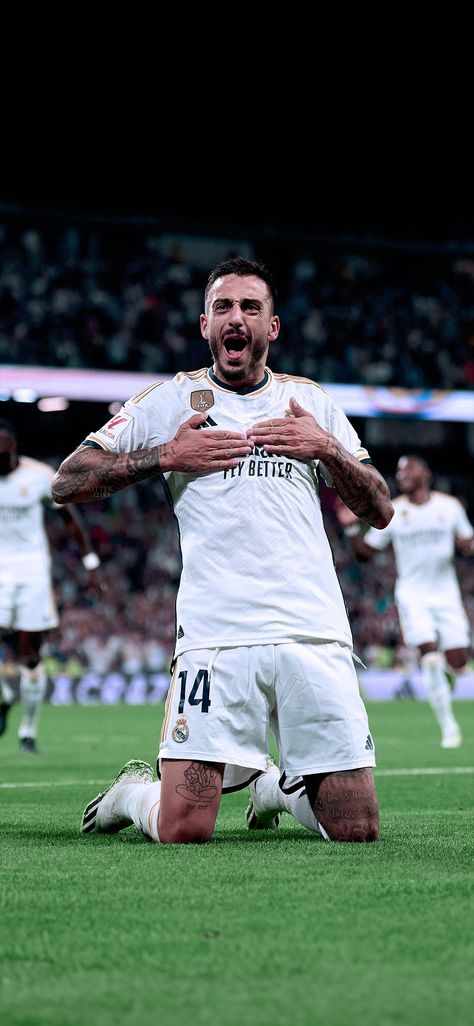 Real Madrid Wallpaper Football Players, Logo Real Madrid, Football Real Madrid, Real Madrid Wallpaper, Dani Carvajal, Rm Wallpaper, Wallpaper Football, Real Madrid Team, Real Madrid Club