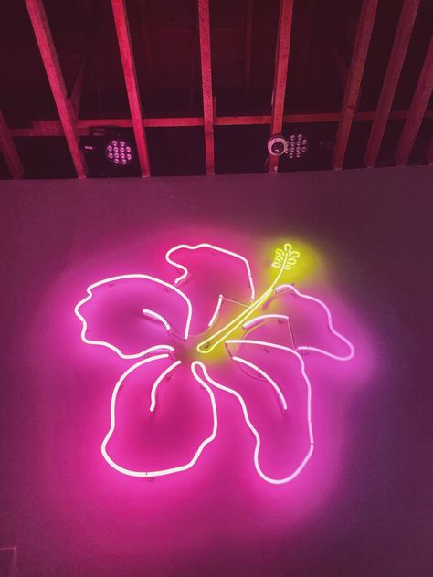 Hibiscus Flower Room Decor, Hibiscus Flower Decor, Neon Flowers Aesthetic, Neon Bedroom Aesthetic, Flower Neon Sign, Ibiza Aesthetic, Neon Club, Neon Art Painting, Ibiza Club