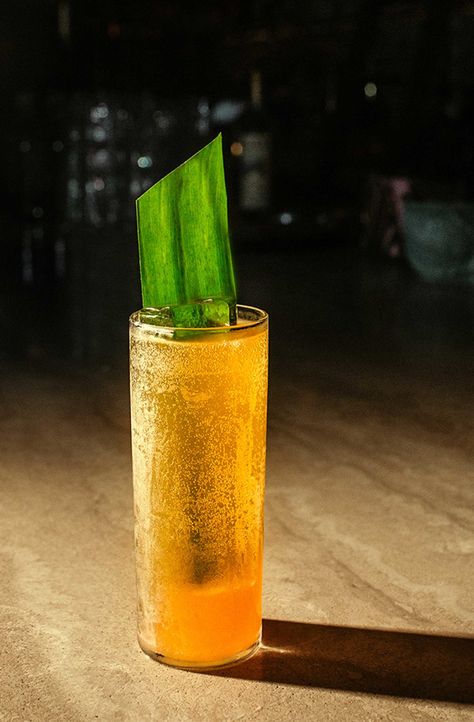 Tropical Popsicle From Noble Experiment - Imbibe Magazine Bourbon Sour Recipe, Highball Recipe, Bourbon Sour, Highball Cocktail, Cocktail Photos, Tiki Cocktails, Japanese Whisky, Sweet Heat, Bourbon Cocktails