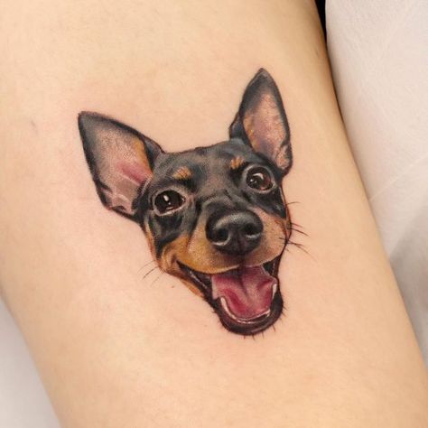 Min Pin Tattoo, Mini Pinscher Tattoo, Fleshy Art, Miniature Pinscher Tattoo, Tattoo Dog Portrait, Small Dog Portrait Tattoo, Small Pet Portrait Tattoo, Pet Portrait Tattoo, Tattoo Perro