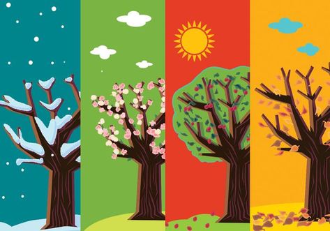 Four Seasons Painting, Four Seasons Art, Seasons Preschool, Seasons Activities, Seasons Art, Abstract Tree, Tree Illustration, Tree Free, Year 1