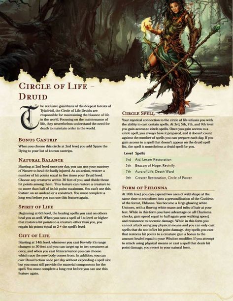 Druid Circles 5e, Druid Homebrew 5e, Druid Circles Dnd, Druid Circle, Homebrew Classes, Dnd Druid, Circle Circle, Dnd Homebrew, D D Classes