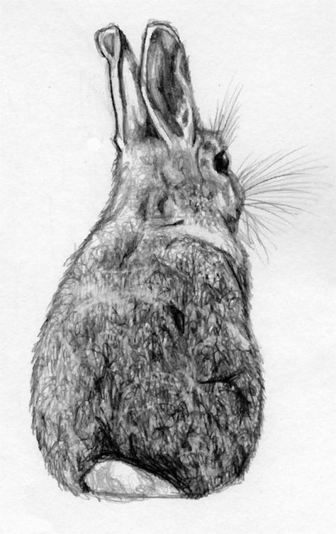 .my bunny turns his back on me when he's ticked off: Rabbit Drawing, Bunny Tattoos, Rabbit Tattoos, Bunny Drawing, White Drawing, Rabbit Art, Bunny Art, Easter Ideas, Pics Art