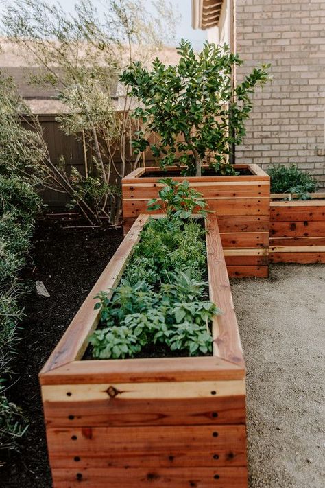 Front Yard Planter Boxes, Veggie Planter Boxes, Big Sister Tips, Deck Planter Boxes, Corner Landscaping, Turf Backyard, Ideas For Small Yards, Vancouver House, Home Gardening Ideas