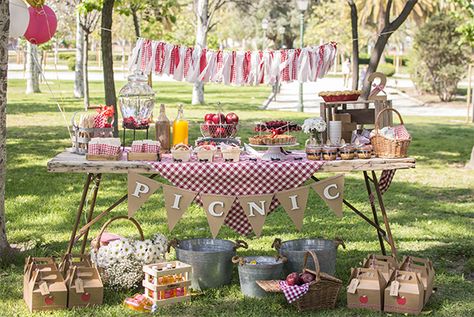 El segundo cumpleaños de Miranda: picnic party Picnic Themed Parties, Picnic Party Decorations, Picnic Baby Showers, Picnic Birthday Party, Picnic Theme, I Do Bbq, Picnic Decorations, Picnic Birthday, Farm Party