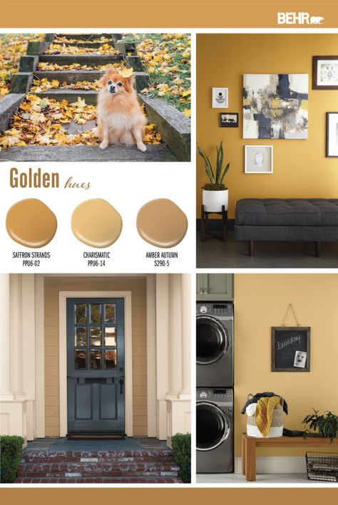 Color of the Year: In the Moment | Colorfully BEHR Behr Gold Hearted, Honeycomb Paint Color, Butterscotch Walls Living Room, Golden Rod Paint Color, Gold Brown Paint Color, Best Gold Paint For Walls, Gold Wall Paint Living Room, Yellow Gold Living Room, Ochre Paint Color