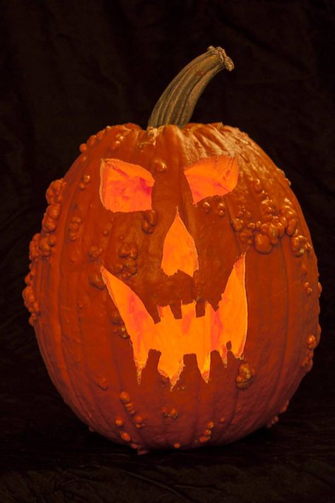 Tall Pumpkin Carving, Tall Pumpkin Carving Ideas, Globe Pumpkin, Carver One, Pumpkin Pulp, Tall Pumpkin, Spooky Food, Pumpkin Carving Ideas, Pumpkin Carving Templates