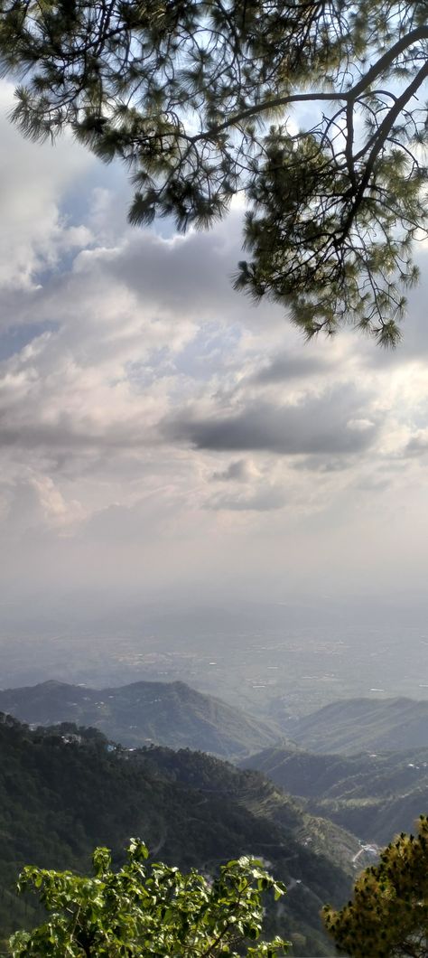 Shades of nature #nature #mountains #kasauli #himachal #india #trees #whitesandblues #green #peace Kasauli Aesthetic, Shimla Aesthetic, Mountains In India, Green Peace, Shillong, Nature Mountains, Golden Temple, Mountain Wallpaper, Very Cute Dogs