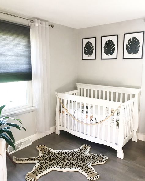 Cheetah rug | nursery decor | neurtal nursery #nurserydecor #nursery #nurseryideas #homedesign #babyroom #babyroomideas Cheetah Rug, Jungle Nursery Decor, Girl Nursery Room, Jungle Nursery, Rug Nursery, Nursery Ideas, Girl Nursery, Baby Room