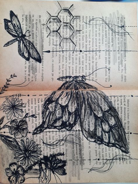 butterfly drawing on pages Butterfly Gcse Art Book, Textiles Gcse, Observational Drawing, Human Head, Butterfly Drawing, Gcse Art, Painting Wallpaper, Environmental Art, Pen Drawing