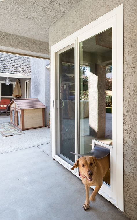 Sliding Door With Doggie Door, Doggy Doors To Outside, Glass Dog Door, Sliding Glass Dog Door, Dog Run Side Yard, Patio Dog Door, Large Dog Door, Pet Patio Door, Doggy Door