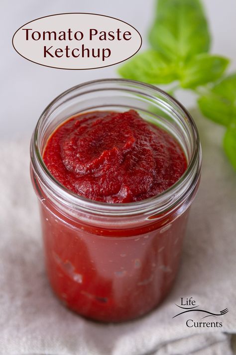 Diy Tomato Paste, Ketchup Homemade, How To Make Ketchup, Tomatoes Recipes, Ketchup Recipe, Homemade Ketchup, Kitchen Basics, Heinz Ketchup, Homemade Pantry