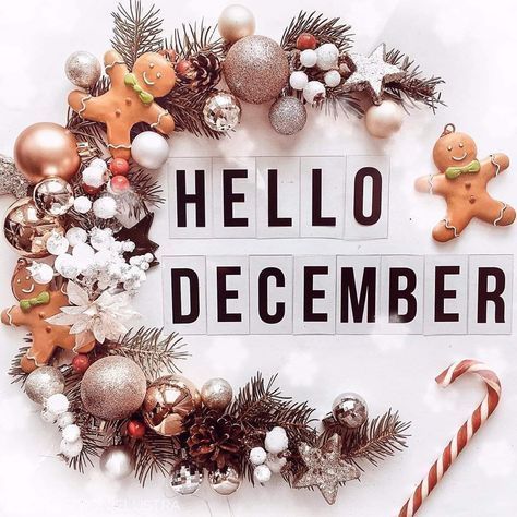 Quotes About December, December Wreath, Hello December Pictures, Quotes December, Hello December Quotes, December Hello, Hello December Images, December Wishes, Megan Hess Illustration