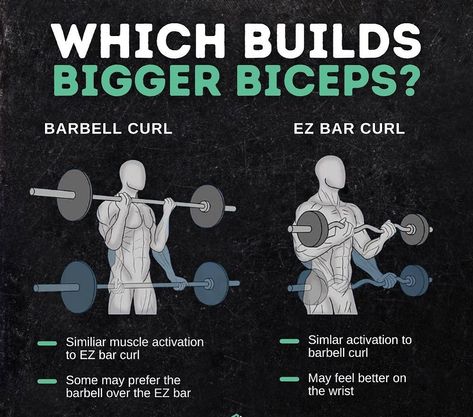 Bigger Biceps Workout, Muscle Gain Workout Plan, Plan Gym Workout, Muscle Gain Workout, Workout Biceps, Bigger Biceps, Bicep And Tricep Workout, Gym Workout Plan, Tricep Workout